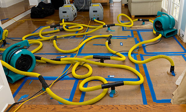 Professional Sewage Cleanup technician working in Belmont, NH